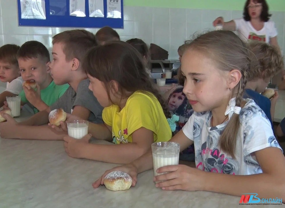 В Волгограде УФАС накажет 13 заказчиков за срыв контрактов на школьные обеды